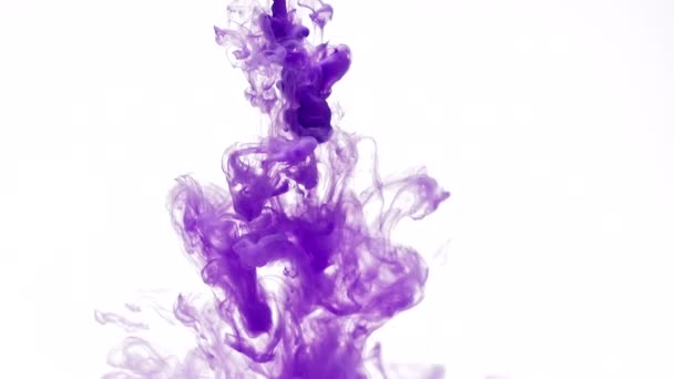 Pattern of purple color paint — Stock Video