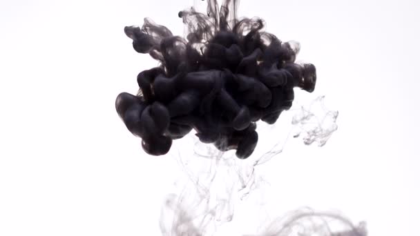 Cloud of black paint in water — Stock Video