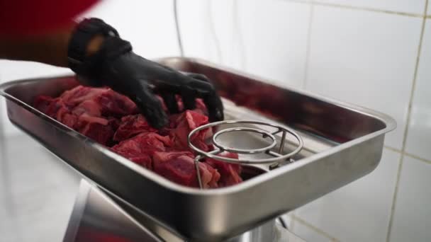 Processo di macinazione della carne — Video Stock