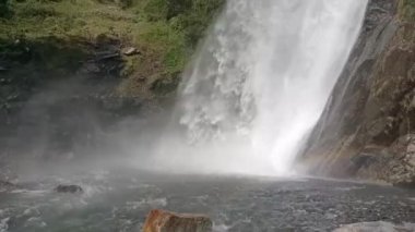 Ormandaki Kar Dağı 'ndan su düşüyor.