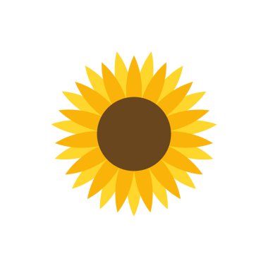  Beyaz arkaplanda izole edilmiş güzel güneş çiçeği vektörü.