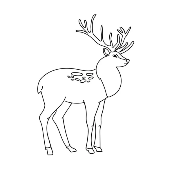 Cerf Esquisse Dessinée Main Illustration Isolée Noir Sur Fond Blanc — Image vectorielle