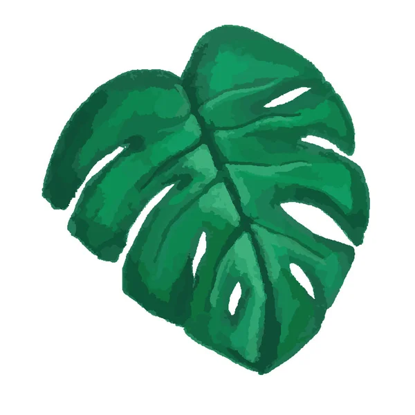 Vektor tropisches Blatt, Monstera. Aquarell-Illustration einer exotischen Pflanze auf Weiß — Stockvektor