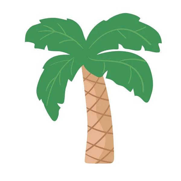 Vector Illustration Palm Trees Isolated White — Stock Vector