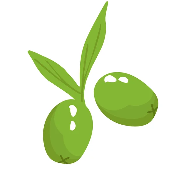 Olivenöl Etikett Oder Logo Für Hofläden Oder Märkte Olivenzweig Mit — Stockvektor