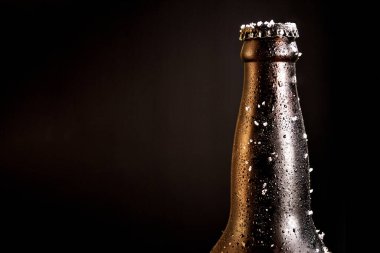 Bottle of beer with frosted ice with copy space.