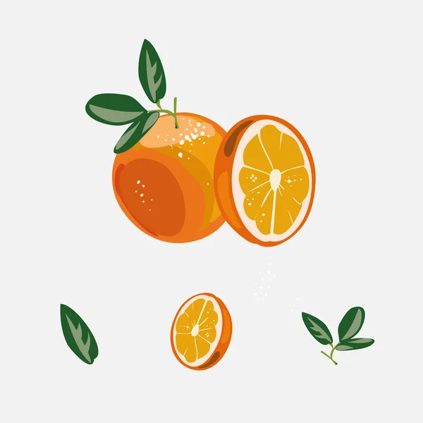 Φρέσκο πορτοκάλι με κομμένα τα μισά φρούτα και μεμονωμένα αντικείμενα — Διανυσματικό Αρχείο