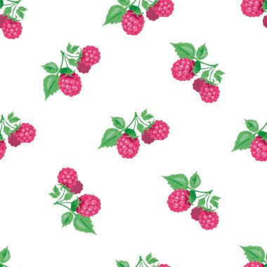 Ahududu ve yapraklarla kusursuz bir geçmişi var. Kusursuz vektör deseni.