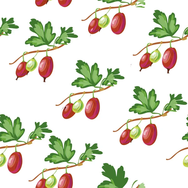 Modello di uva spina verde e rossa senza soluzione di continuità su bianco — Vettoriale Stock