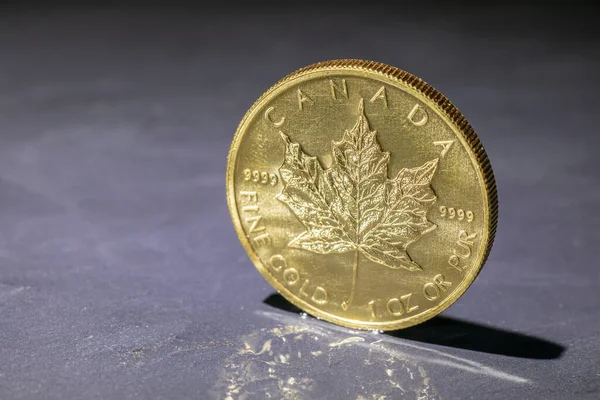 Καναδικό Χρυσό Νόμισμα Σφενδάμου Γκρι Φόντο — Φωτογραφία Αρχείου