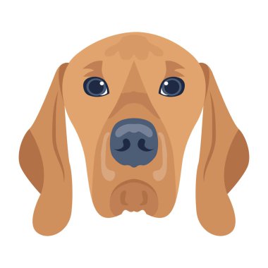 Şirin bir köpeğin vektör çizimi 