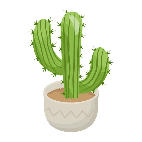 Cactus Pot Illustratie Van Plantenvector — Stockvector