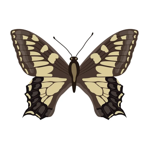 Papillon Isolé Sur Fond Blanc — Image vectorielle