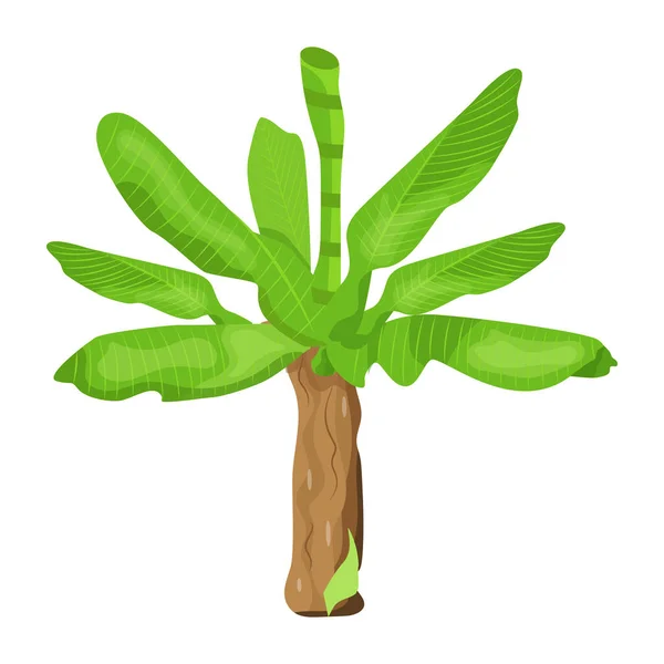 Árbol Aislado Sobre Fondo Blanco — Vector de stock