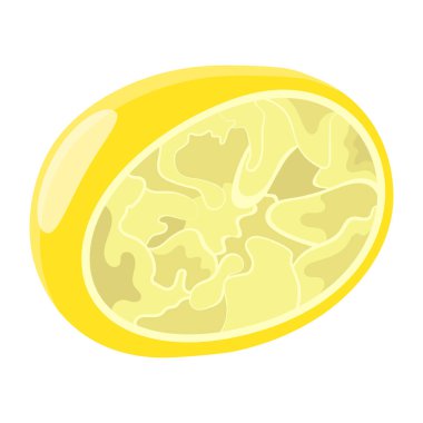 Lemon beyaz arka planda izole edilmiş. vektör illüstrasyonu