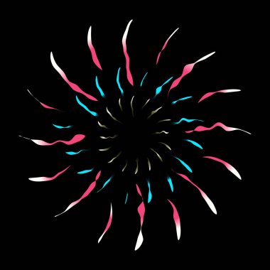 Siyah arkaplanda havai fişek patlaması