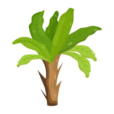 Beyaz arkaplanda izole edilmiş ağaç