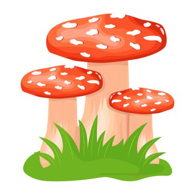 amanita muscaria mantar çizimi