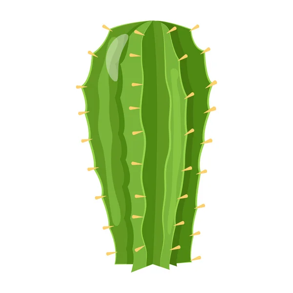 Cactus Pot Illustration Vectorielle Végétale — Image vectorielle