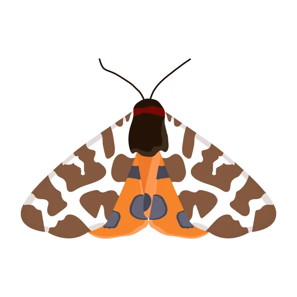 Mariposa Aislada Sobre Fondo Blanco — Vector de stock