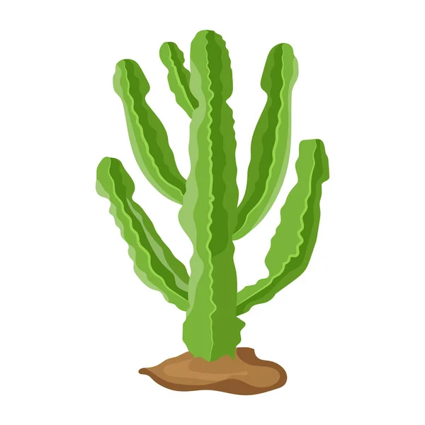 Cactus Pot Illustration Vectorielle Végétale — Image vectorielle