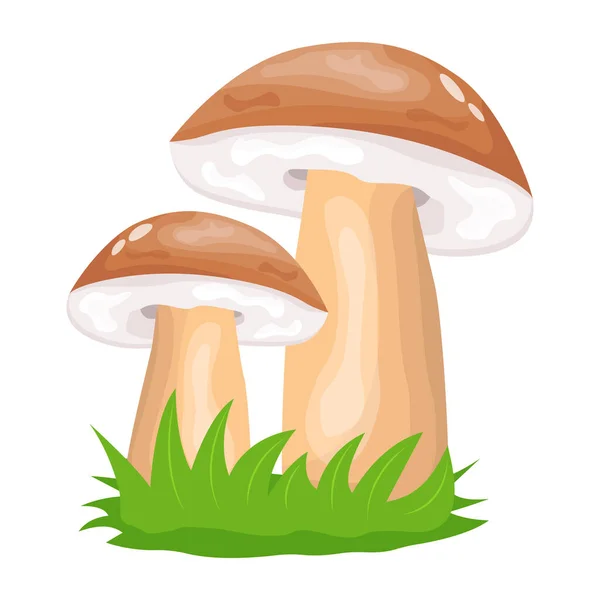 Mushrooms Icon Cartoon Illustration — Stock Vector