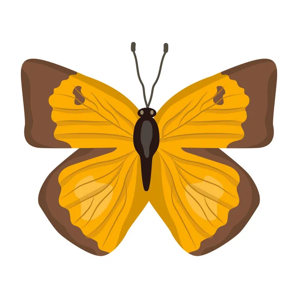 Mariposa Aislada Sobre Fondo Blanco — Vector de stock