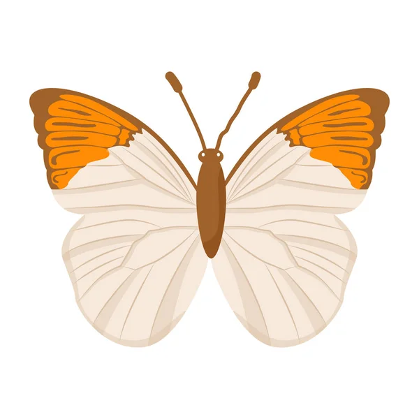 Motyl Izolowany Białym Tle — Wektor stockowy