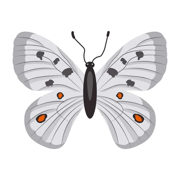 Schmetterling Isoliert Auf Weißem Hintergrund — Stockvektor