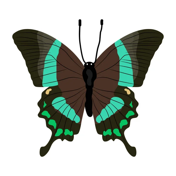 Mariposa Aislada Sobre Fondo Blanco — Vector de stock