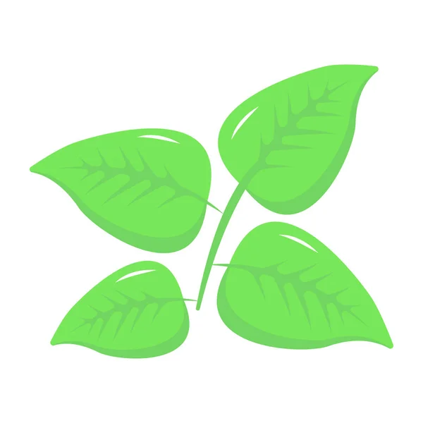 Groene Bladeren Van Plant Vector Illustratie Ontwerp — Stockvector