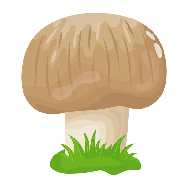 Ícone Cogumelos Desenho Animado Ilustração Ícones Vetor Cogumelo Para Web —  Vetores de Stock