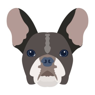 Şirin köpek yüzü, vektör illüstrasyonu