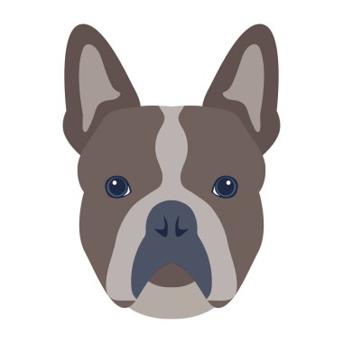 Şirin bir köpeğin vektör çizimi 