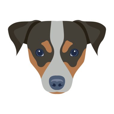 Şirin bir köpeğin vektör çizimi 