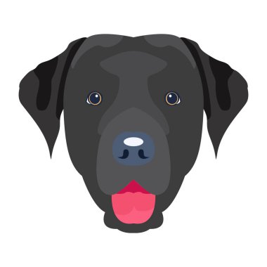 Şirin bir köpeğin vektör çizimi 