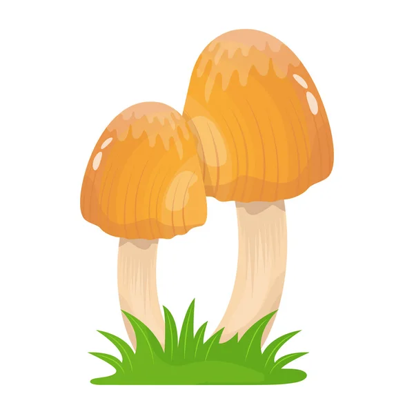 Mushrooms Icon Cartoon Illustration — Stock Vector