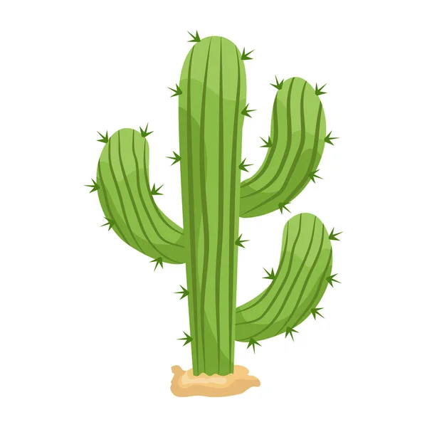 Ikon Kaktus Ilustrasi Kartun Dari Ikon Vektor Cacti Untuk Web - Stok Vektor