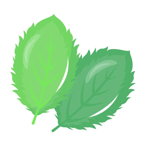 Grüne Blätter Der Pflanze Vektorillustration — Stockvektor