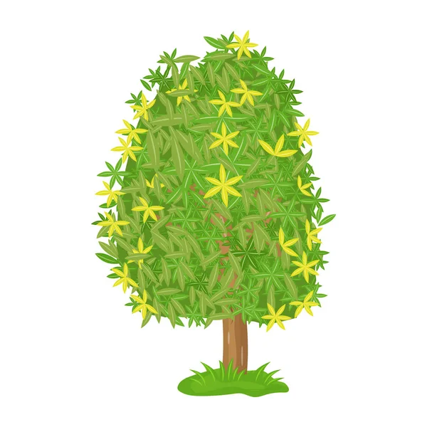 Árbol Aislado Sobre Fondo Blanco — Vector de stock