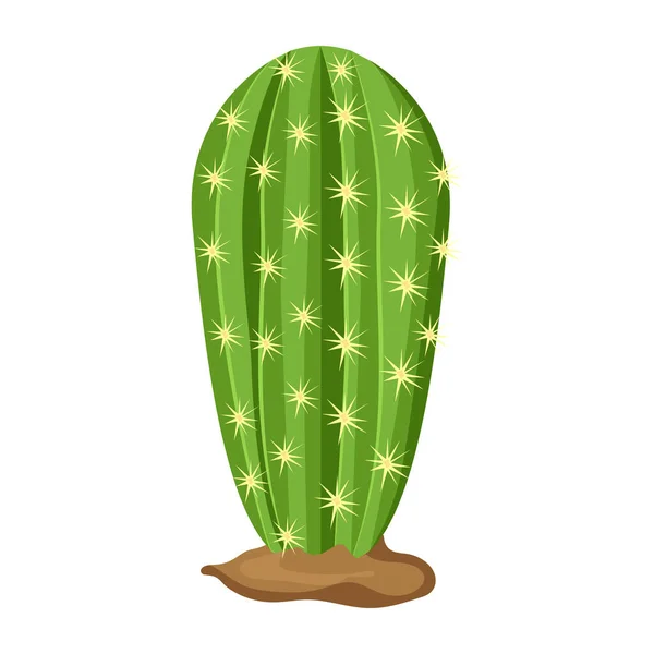 Kaktus Dalam Pot Gambar Vektor Tanaman - Stok Vektor