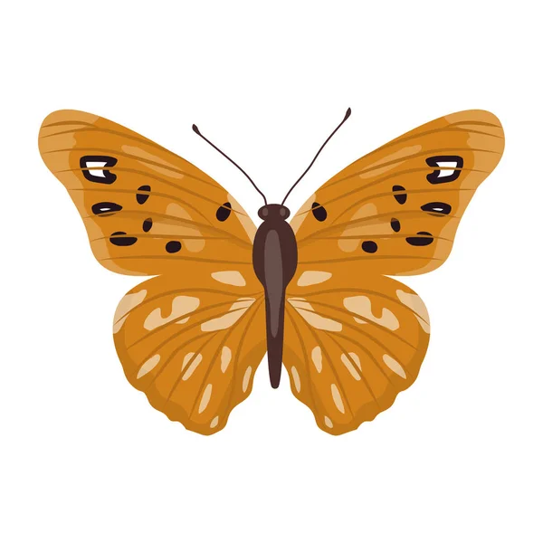 Метелик Ізольований Білому Тлі — стоковий вектор