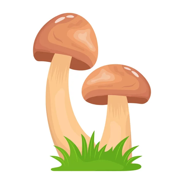 Mushrooms Icon Cartoon Illustration — Stock Vector