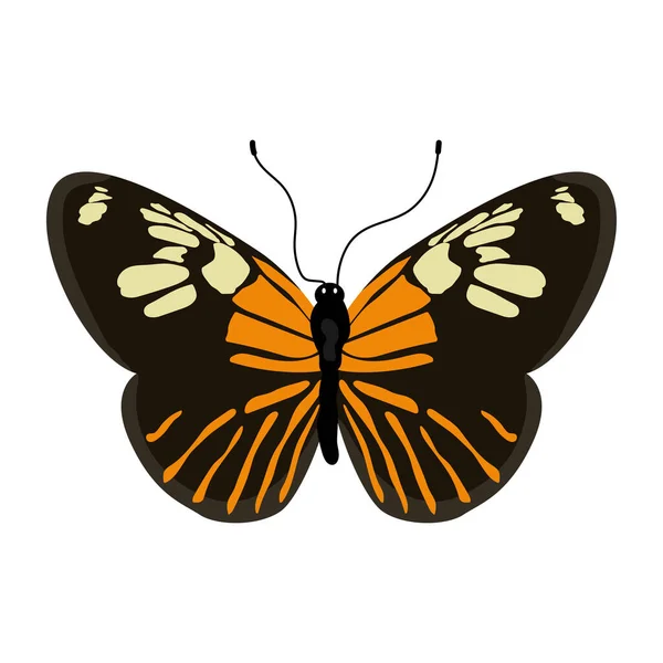 Метелик Ізольований Білому Тлі — стоковий вектор