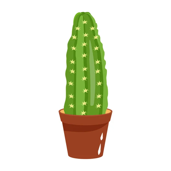 Cactus Pot Illustratie Van Plantenvector — Stockvector