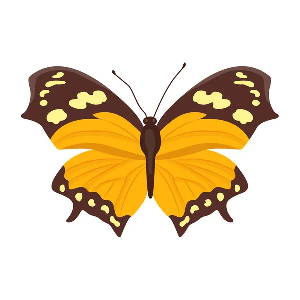 Mariposa Aislada Sobre Fondo Blanco — Vector de stock