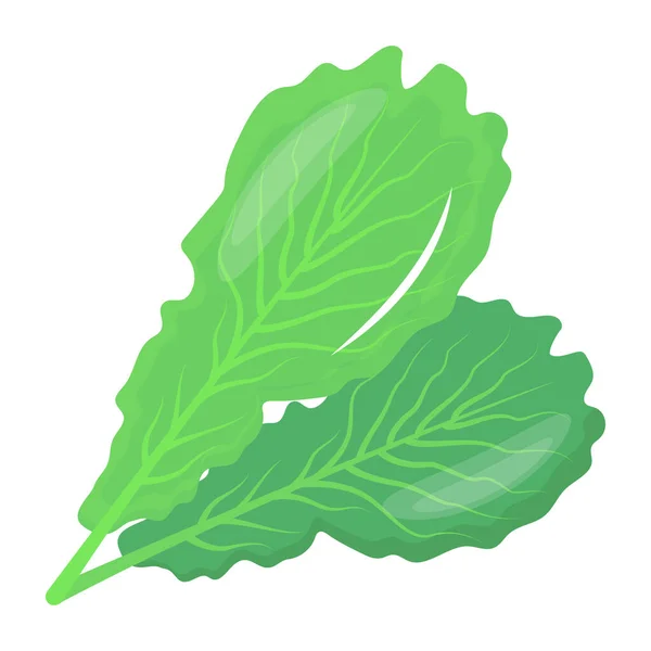 Ilustración Vectorial Una Lechuga Verde Fresca Aislada Sobre Fondo Blanco — Vector de stock