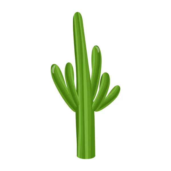 Kaktusy Garnku Wektor Roślin Ilustracja — Wektor stockowy