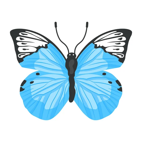 在白色背景上隔离的蝴蝶 — 图库矢量图片