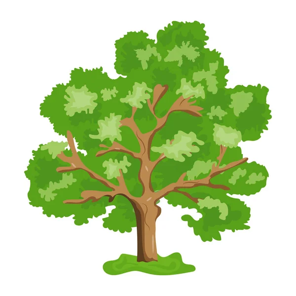 Beyaz Arkaplanda Izole Edilmiş Ağaç — Stok Vektör